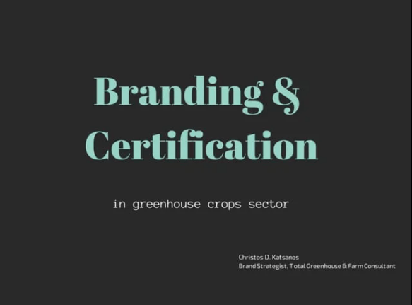 branding certification
