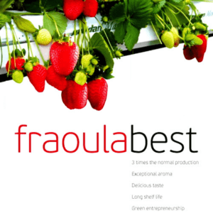 fraoulabest