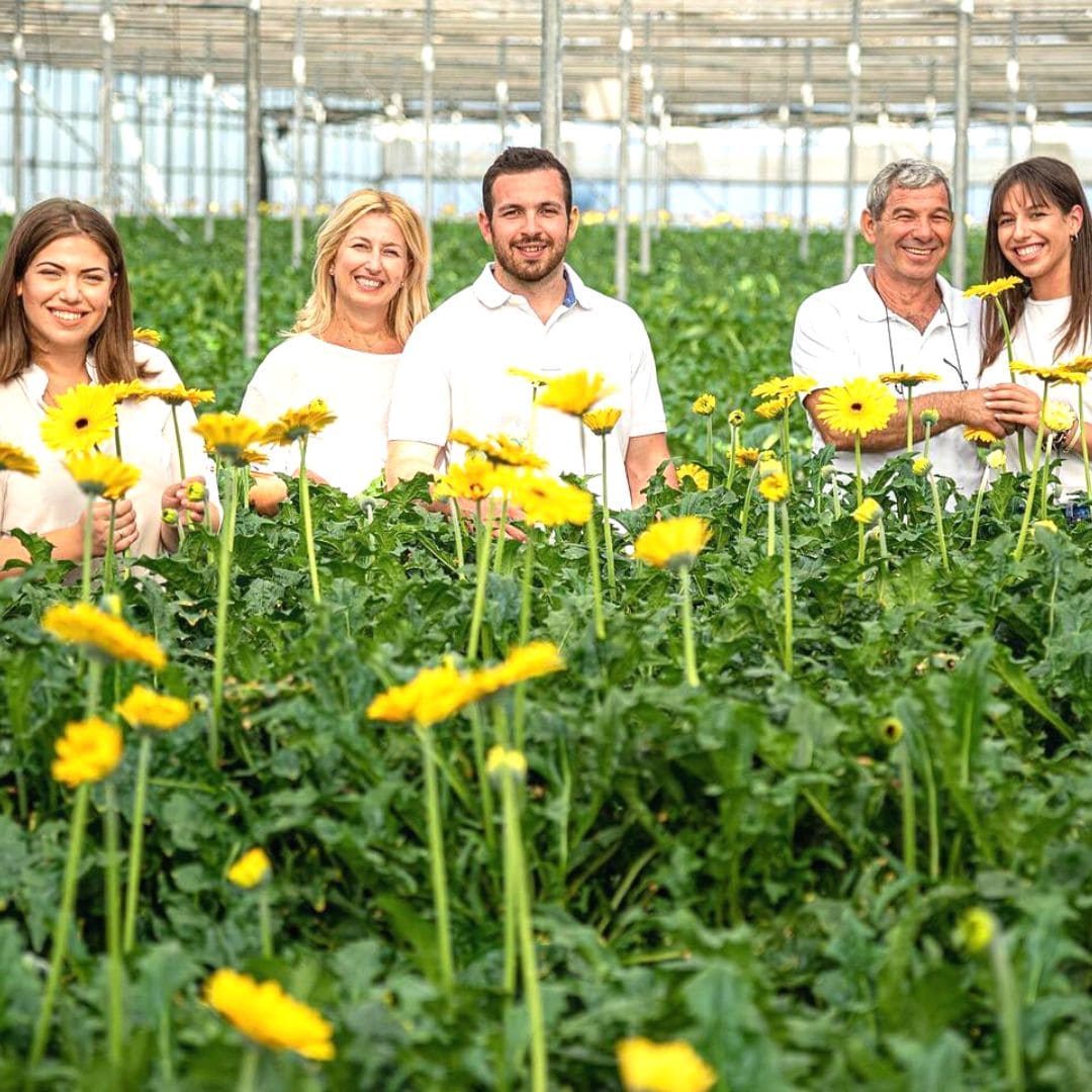 creta flowers b