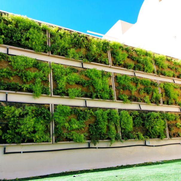 urban greening 7