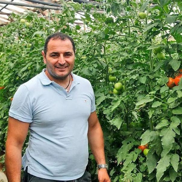 iqcrops categories 17 2