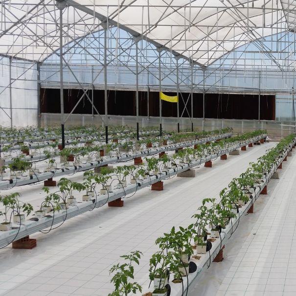 iqcrops categories 18 1