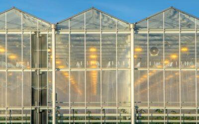 iqcrops categories 19